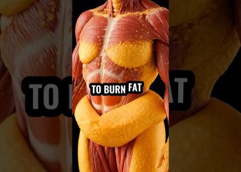 5 Fat-Melting Drinks You Need to Try NOW #shorts #health #explore