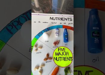 Five Major Nutrients ! EVS Project with actual things !