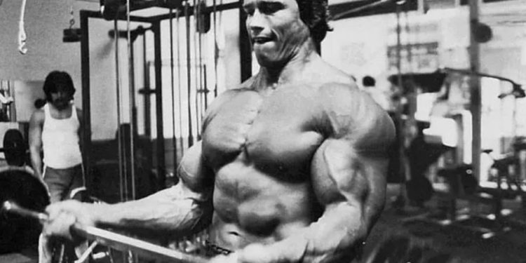 Mechanical Tension vs Time Under Tension – IronMag Bodybuilding & Fitness Blog