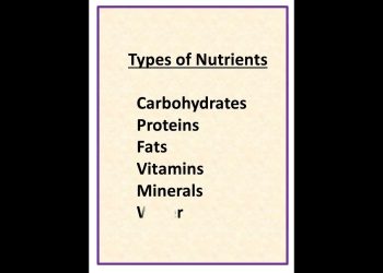 types of nutrients # shorts Time to study2012