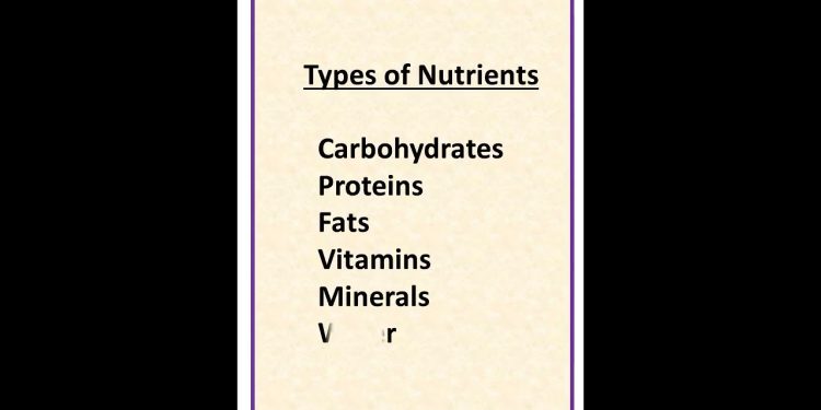 types of nutrients # shorts Time to study2012