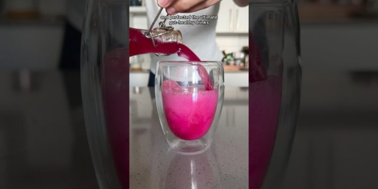 Gut-healthy fermented drinks