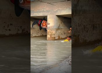 Must-Have Smart Fitness Gadgets 2025" July 2025