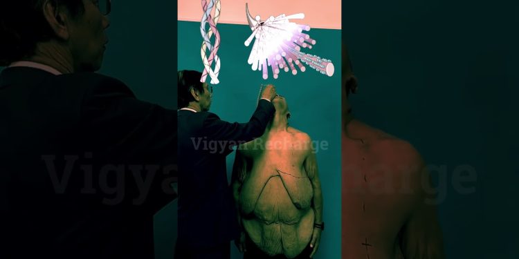 Weight loss  #vigyanrecharge