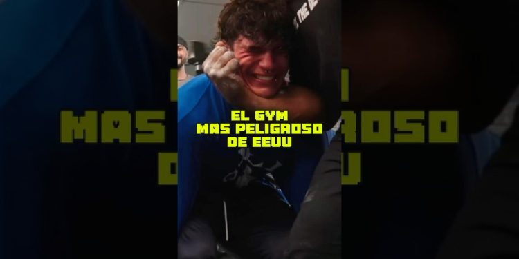 Shizzy va al peor gimnasio 😨•#gym #fitness #culturismo #bodybuilding #fit