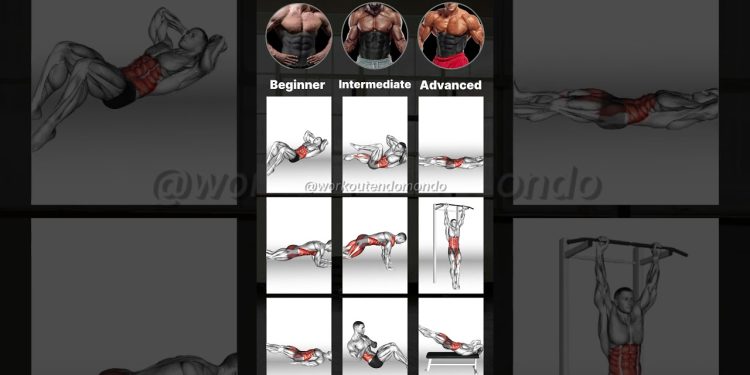 ABS WORKOUT for EVERYONE: From BEGINNER to ADVANCED for a Strong Core!