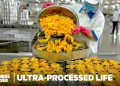Why 70% Of Kids' Food Is Ultra Processed And How It Affects Their Health | Ultra-Processed Life