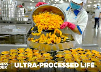 Why 70% Of Kids' Food Is Ultra Processed And How It Affects Their Health | Ultra-Processed Life