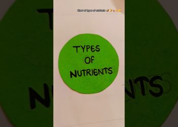Chart on types of nutrients 🥚🧀#becreative#muskanmittal #shorts #trending #science #nutrition#project