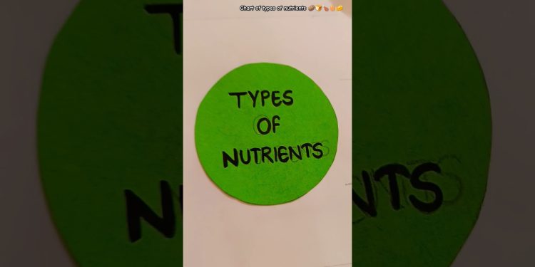 Chart on types of nutrients 🥚🧀#becreative#muskanmittal #shorts #trending #science #nutrition#project