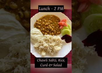 Trying Rujuta Diwekar’s Diet Plan for Weight Loss | Indian Diet Plan | Day-27