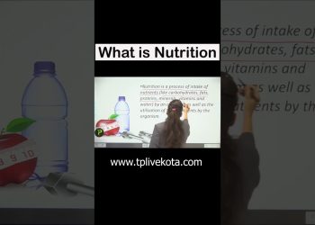 What is Nutrition #ytshorts #shortsvideo #nutrition