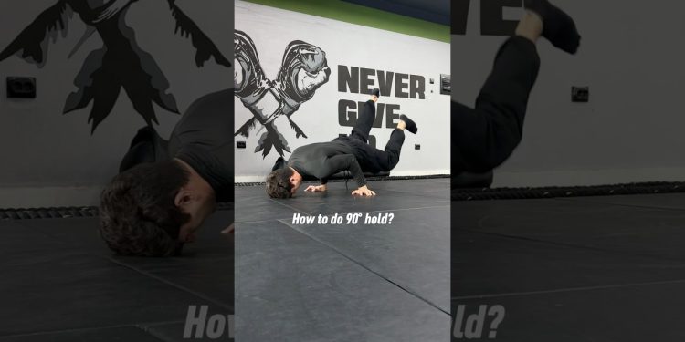 How to do 90° hold? #calisthenics #fitness #workout #bodyweighttraining #homeworkout