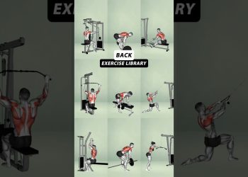 Ultimate Gym Back Workout for a Stronger Body – No Excuses #gym #yoga #buildmuscle #workout