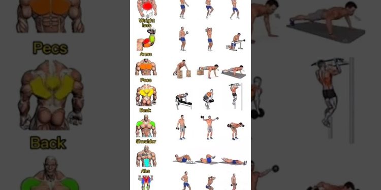 weight lose, arms, pecs, back, shoulder, abs full body workout #ytshorts