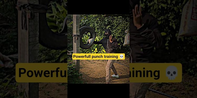 mma training #mma #fitness #motivation #boxing #viral #home #shrots #reels