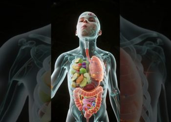 What Happens Inside Your Body When You Eat Fruits & Vegetables? | 3D Digestion Animation