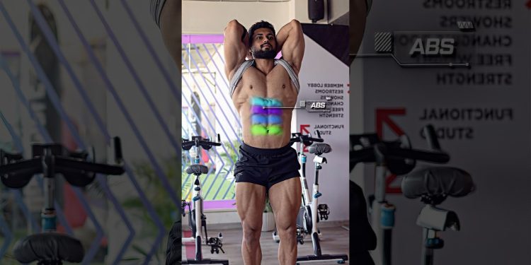 Top three abs exercises. #youtubeshorts #shortvideo #shortsviral #shortsvideo #gym #workout #tips