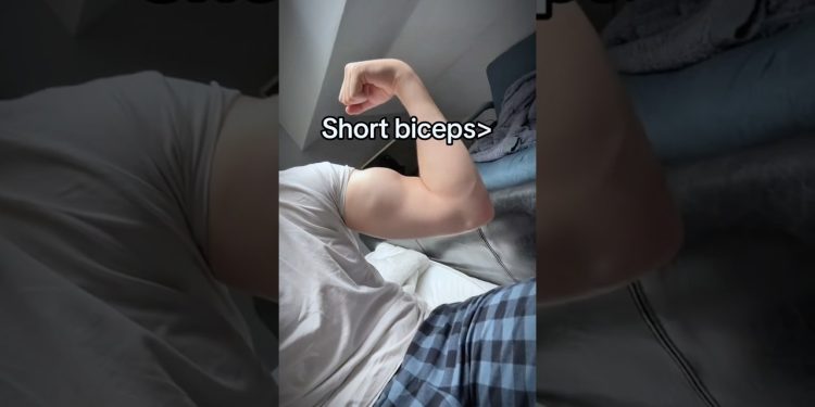 Short Biceps vs Long Biceps 💪🏻💪🏻 #bodybuilding #fitness #gym #shortsvideos