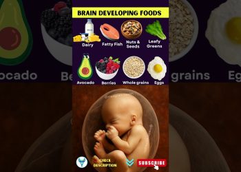 Must Eat Foods for Baby’s Brain Development in Pregnancy | Pregnancy Nutrition