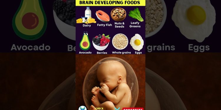 Must Eat Foods for Baby’s Brain Development in Pregnancy | Pregnancy Nutrition