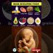 Must Eat Foods for Baby’s Brain Development in Pregnancy | Pregnancy Nutrition