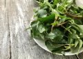 11 Lesser Known Indian Leafy Vegetables