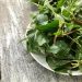 11 Lesser Known Indian Leafy Vegetables