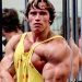 Best Bodybuilder of All Time | Arnold Schwarzenegger's Blueprint Training Program