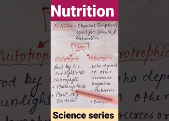 nutrition|types of nutrition|autotrophic and heterotrophic|#biology #dsssb