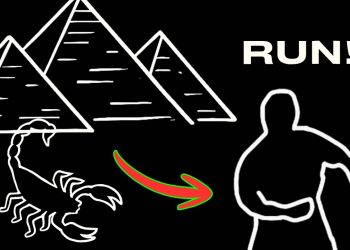 Immersive Interactive Fitness Game – Full Body Warm-up for All Ages / #fitness #exercise