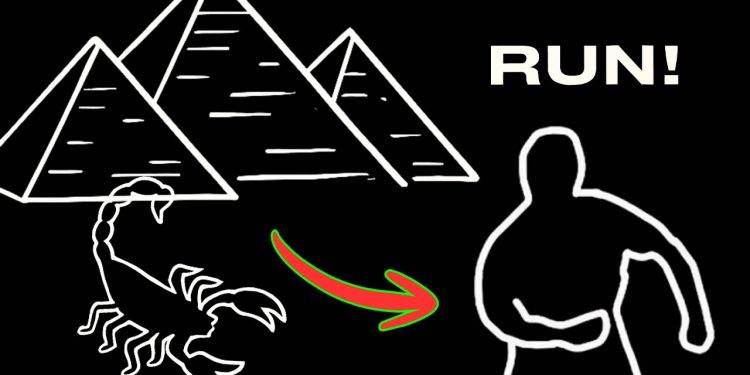 Immersive Interactive Fitness Game – Full Body Warm-up for All Ages / #fitness #exercise