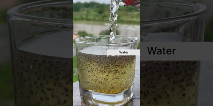 Refreshing Chia Seeds Water with Lemon & Honey | Healthy Morning Drink