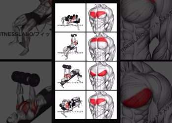 chest workout #shorts #workout #fitness