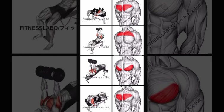 chest workout #shorts #workout #fitness