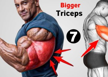 7 Best Triceps Workout at Gym for Bigger & Stronger Arms