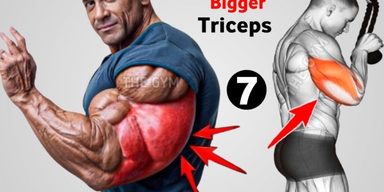 7 Best Triceps Workout at Gym for Bigger & Stronger Arms