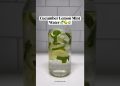 Cucumber Lemon Mint Water 🥒 🍋 🌿 #healthydrink