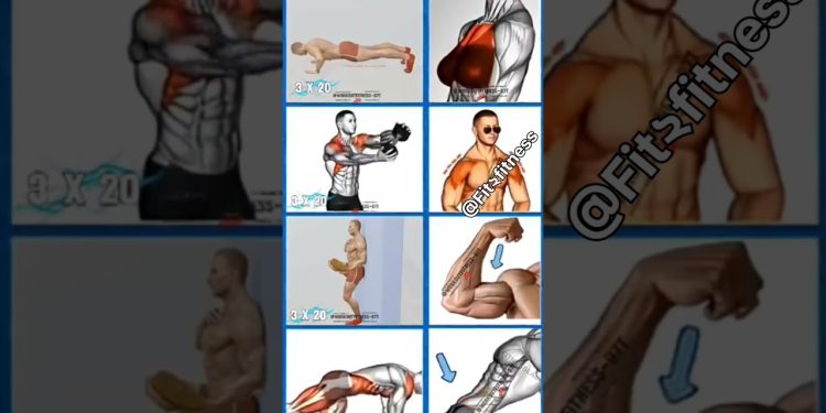 Arms shoulder abs and chest #fitness #homeworkout