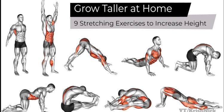 Grow Taller at Home | 9 Stretching Exercises to Increase Height