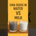 Chia Seeds for weight loss #shorts #healthydrink #chiaseeds