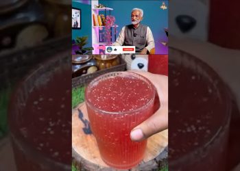 Vaidya Rajesh Kapoor Suggested Probiotic Drink "Beetroot Kanji" For Better Gut Health #shorts