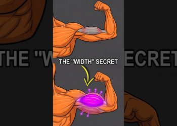 Why Your Biceps Disappear From The Front