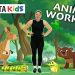 Tabata Workout for KIDS | The Animal Workout (ages 3-8) w/@TabataKidsWorkouts