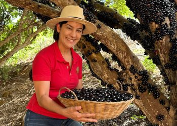 Época de jabuticaba- olha só o que fiz