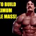 MIKE MENTZER: HOW TO BUILD MAXIMUM MUSCLE MASS #mikementzer #gym #motivation #bodybuilding