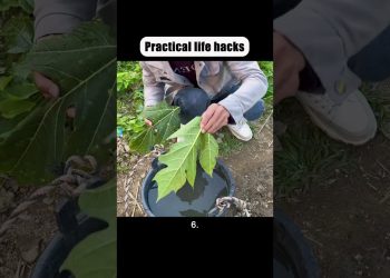 #lifestyle #reallifehacks #secrethacks #automobile #habitsthatchangeyourlife #diy