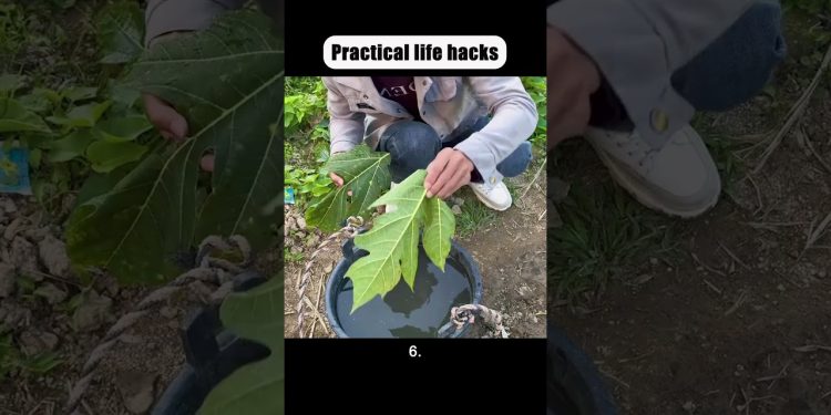 #lifestyle #reallifehacks #secrethacks #automobile #habitsthatchangeyourlife #diy