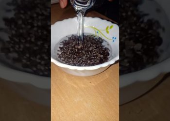 chia seeds drink,helps in female fertility, constipation,periods #healthy #drink #chiaseed #home