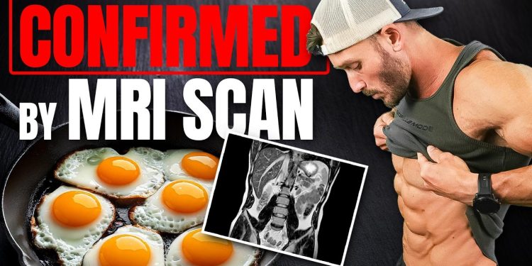 The World’s Easiest Diet for Visceral Fat Reduction